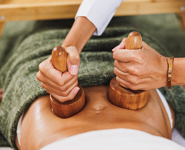 Ayurvedic Wellness